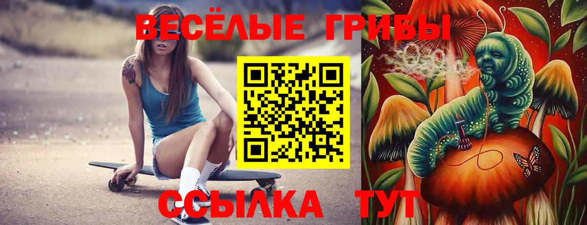 Сунжа  Галлюциногенные грибы Psilocybine cubensis  Вход с VPN 